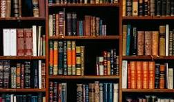 Library — Photo 3