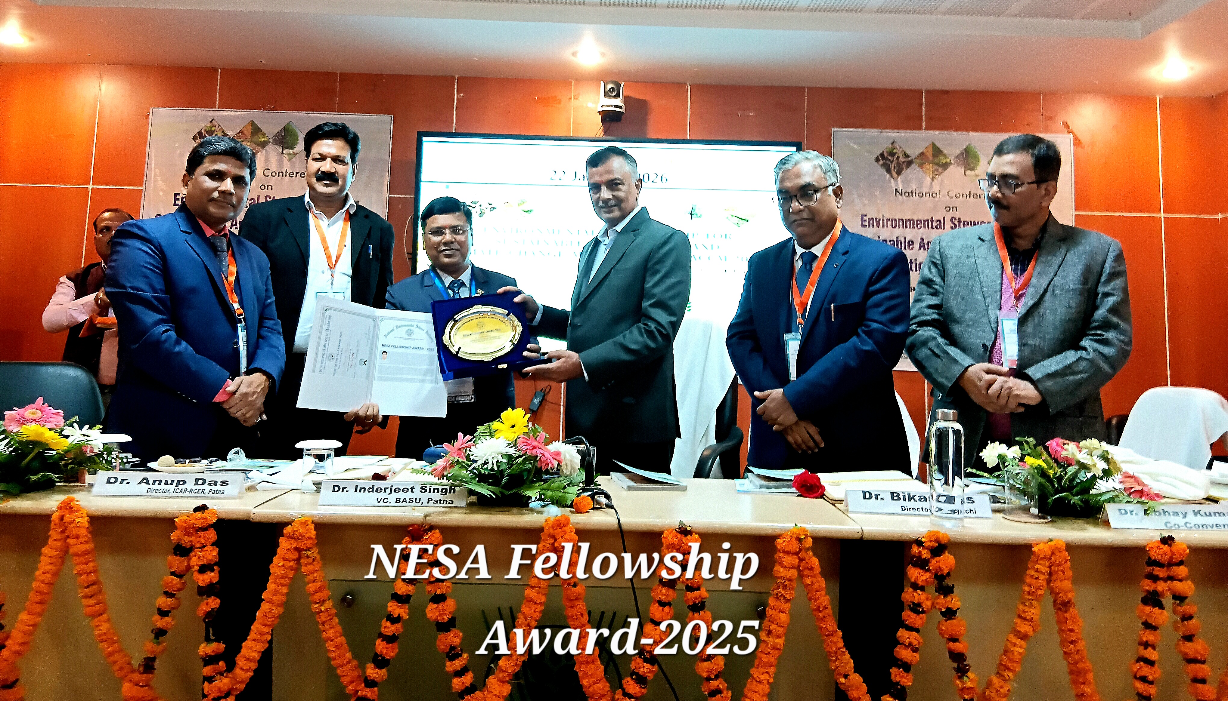 NESA Fellowship
